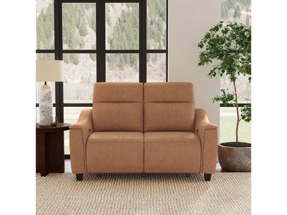 Walter Power Reclining Loveseat with Power Headrests